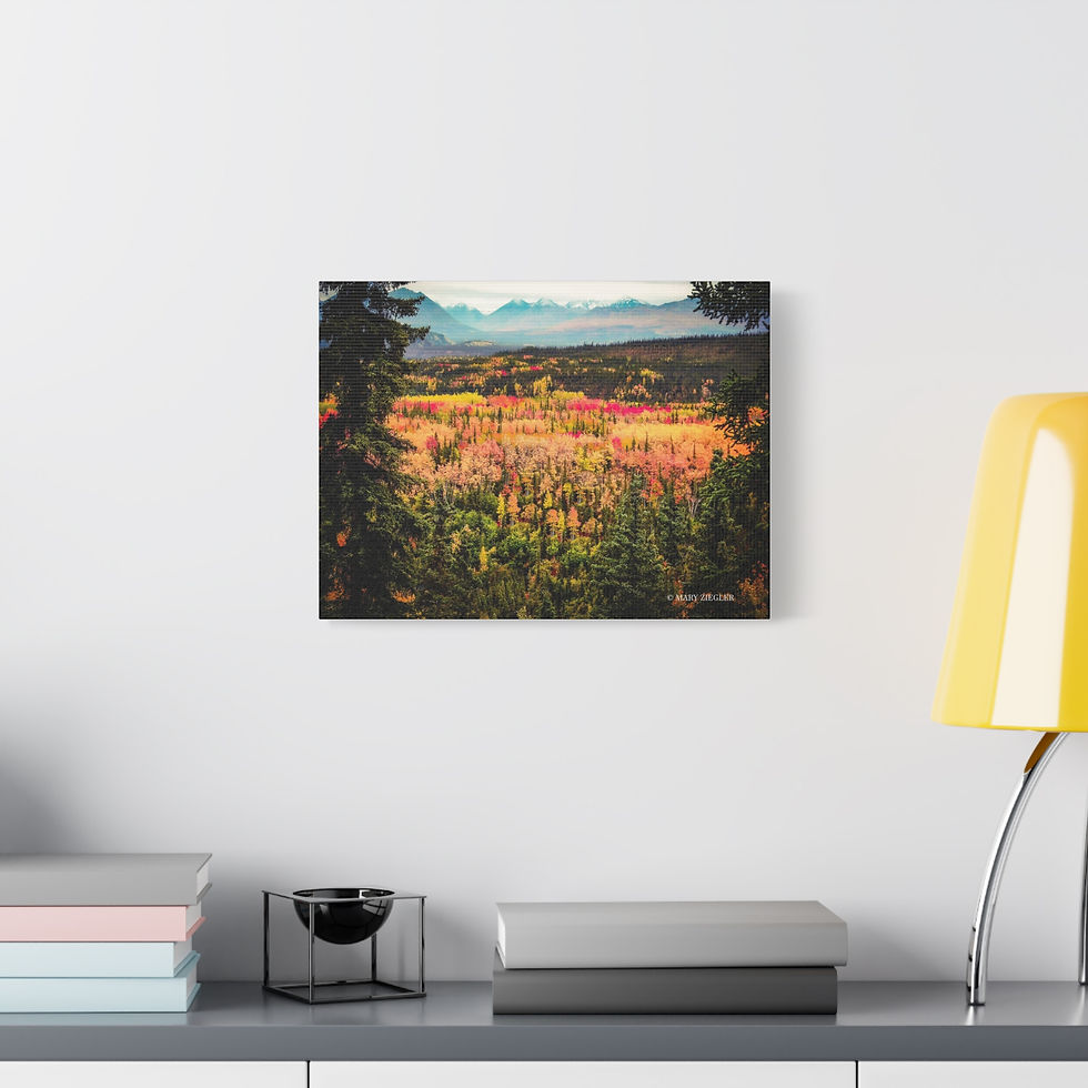 Thumbnail: "Awe of Denali" Canvas, Denali National Park, Alaska