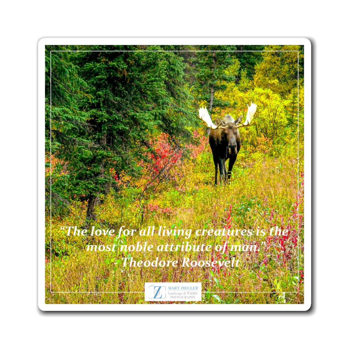 Mr. Bull Moose Quote Magnet