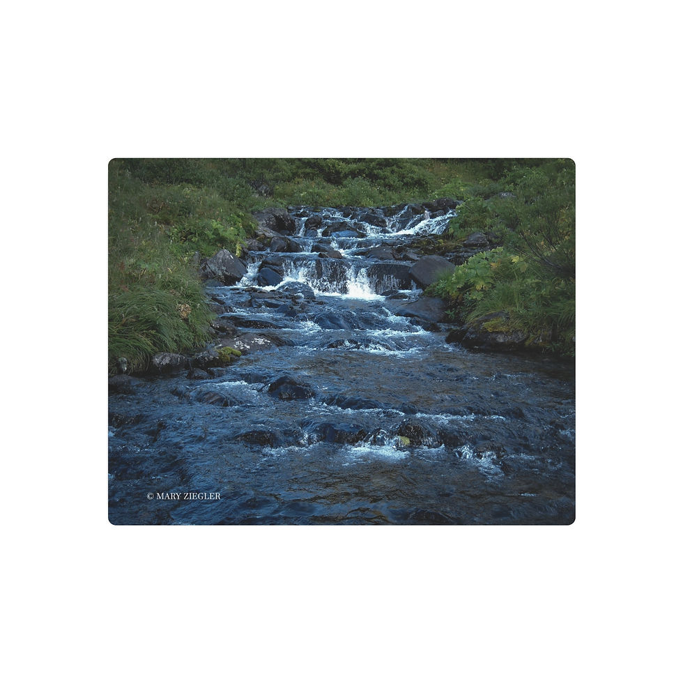 Thumbnail: "Rocky Waters" Metal Print, Hope, Alaska