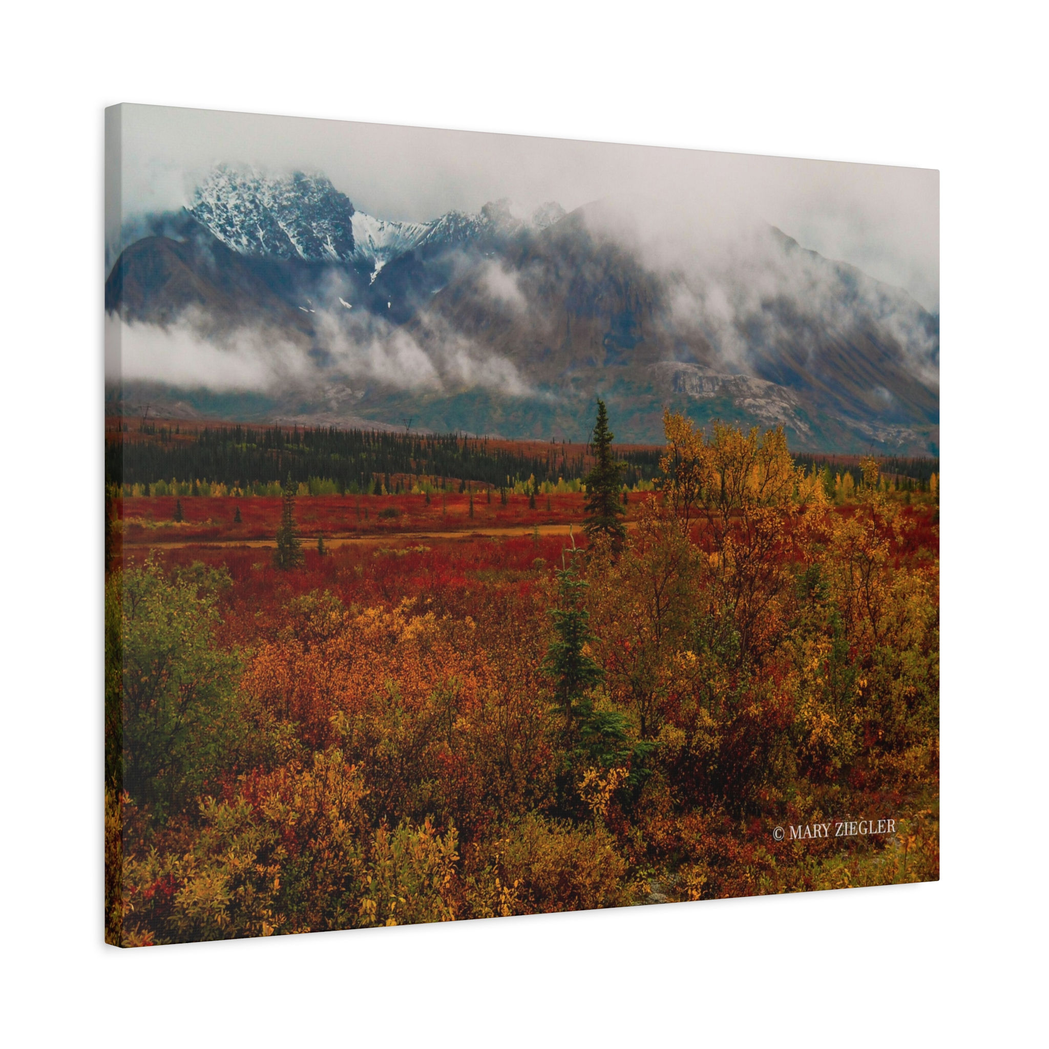 Rich in Foliage Canvas Wrap