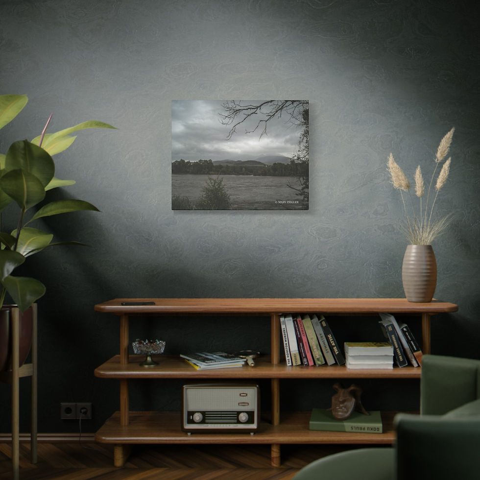 Thumbnail: "Lightning Bolt Limbs" Canvas Wrap, Lake Superior, North Shore, Minnesota