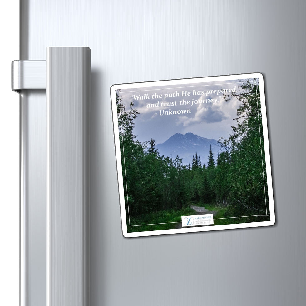 Thumbnail:  Forest Passage Quote Magnet