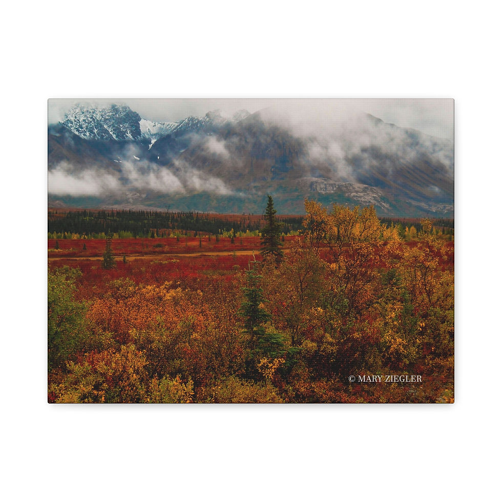 Thumbnail: "Rich in Foliage" Canvas Wrap, Denali National Park, Alaska