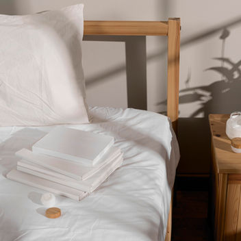 Sustainable Solutions: Creating a Healthy Home with Eco-Friendly Bed Bug Control