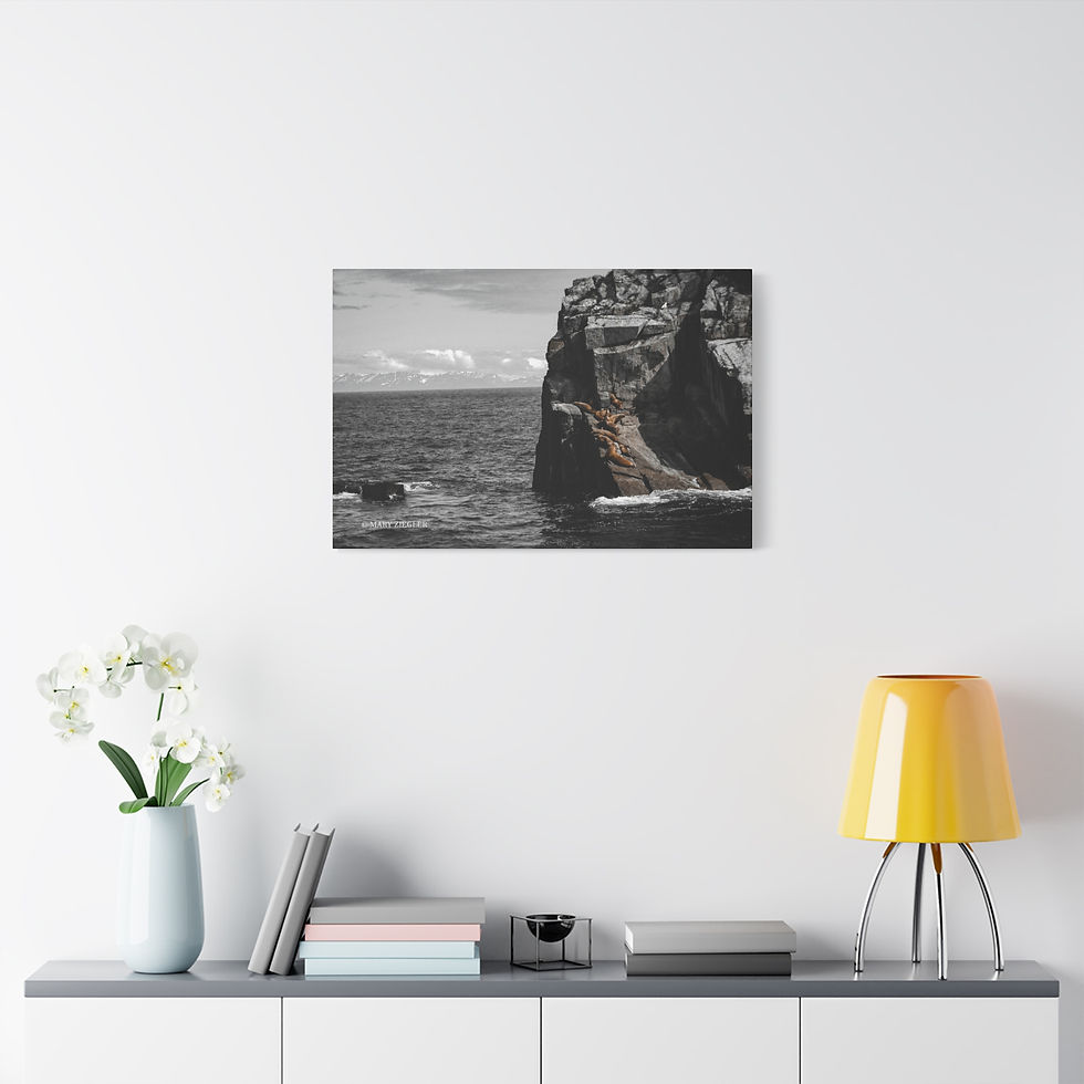 Thumbnail: "Seals on the Bay" - BNW Canvas Wrap, Resurrection Bay, Alaska