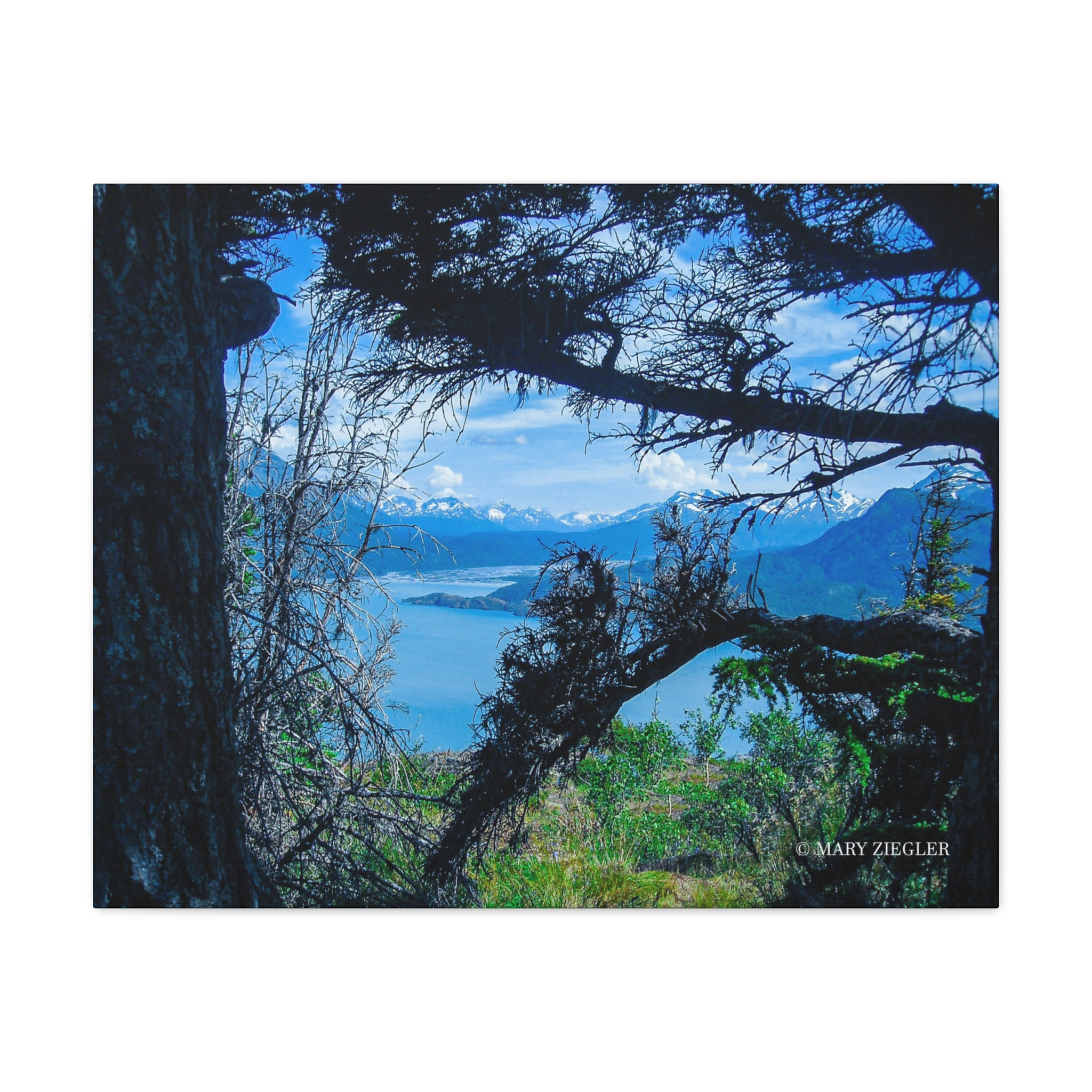 "Behind the Scenes" Canvas Wrap, Portage Valley Area, Alaska