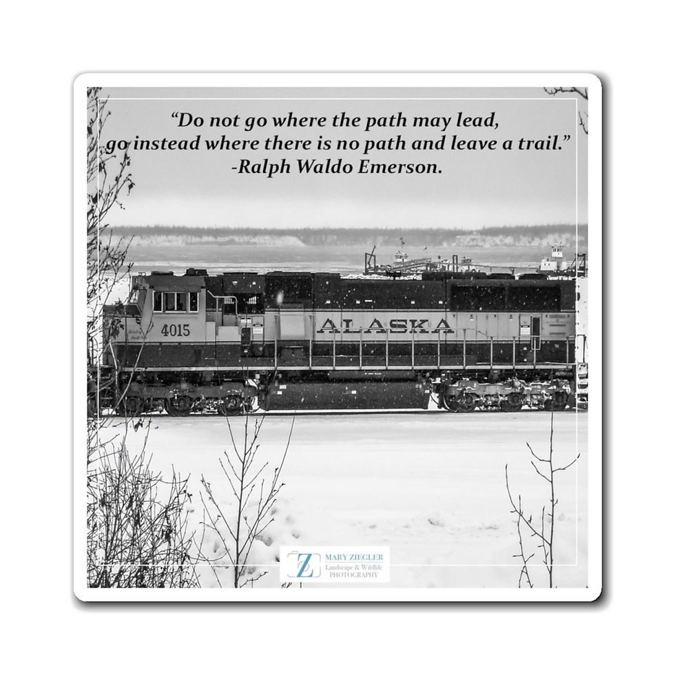 Thumbnail: Train Of Visions BNW Quote Magnet