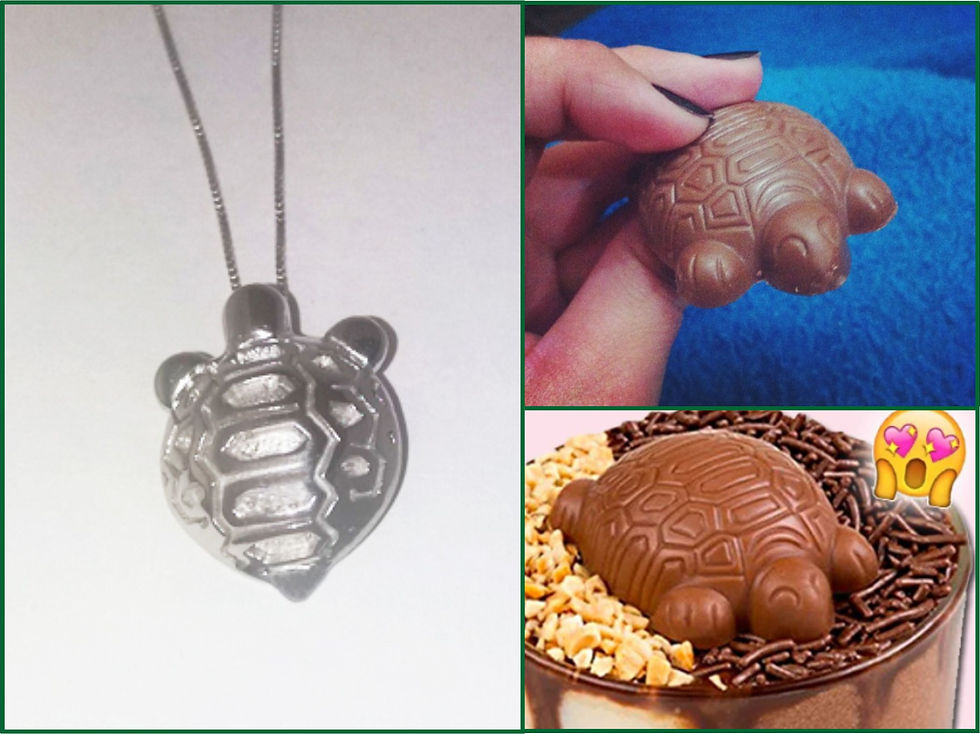 Miniatura: Tortuguita