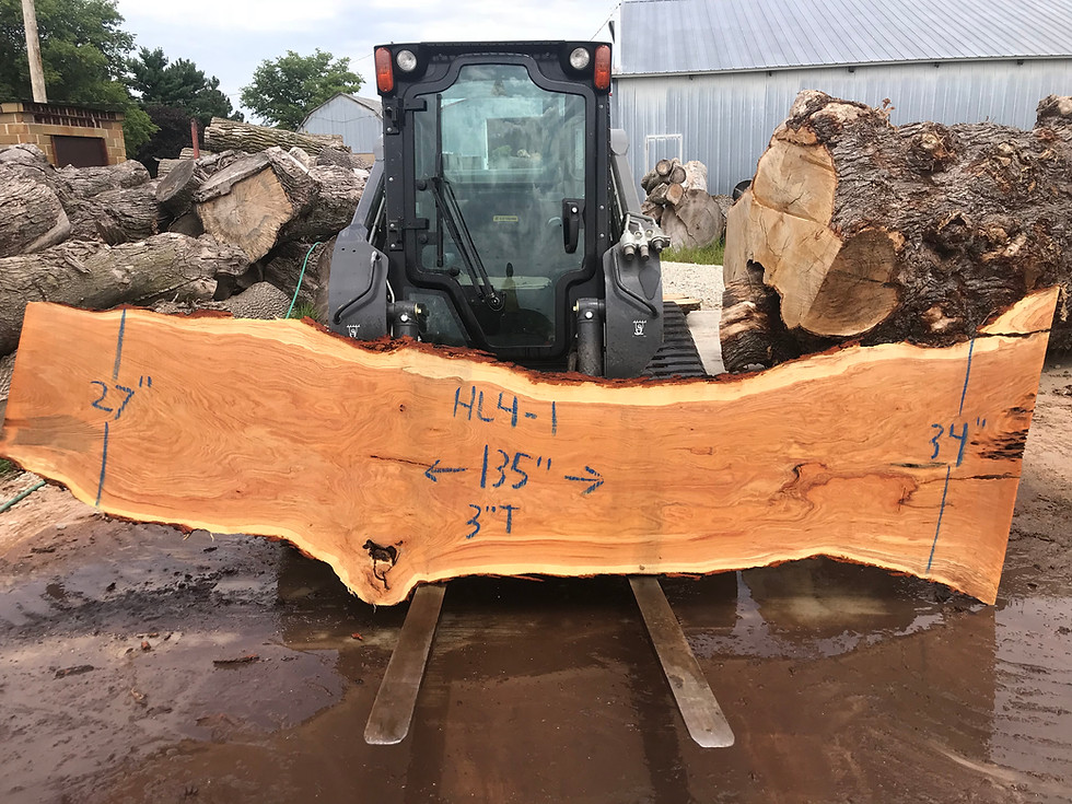 Thumbnail: Honey Locust 27-34" x 135" x 3"