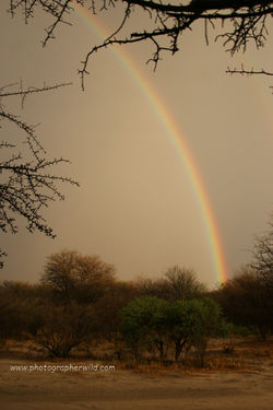 _ABCK1 111219 Rainbow at dusk (IMG_0003a