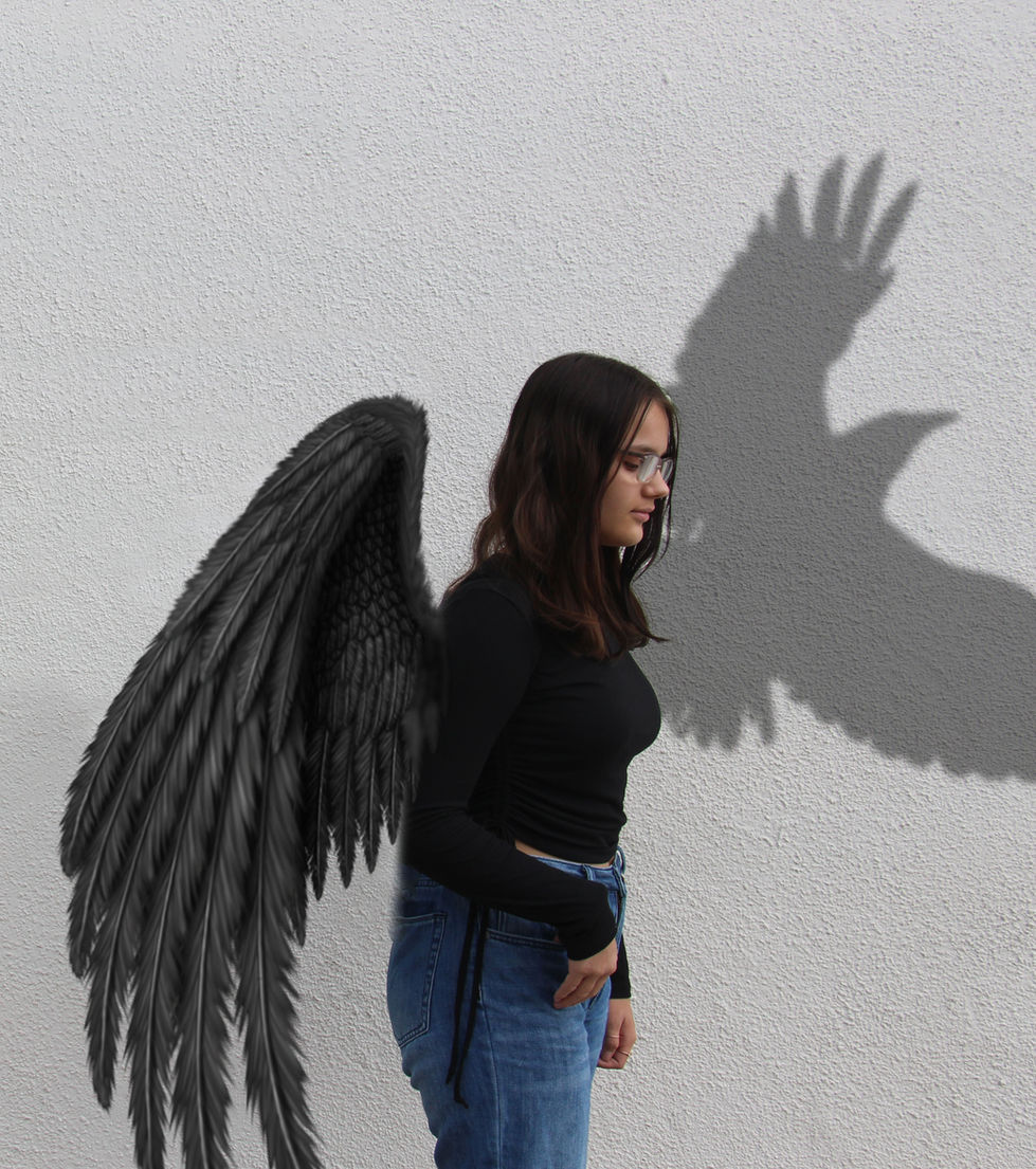 Shadow of a Crow