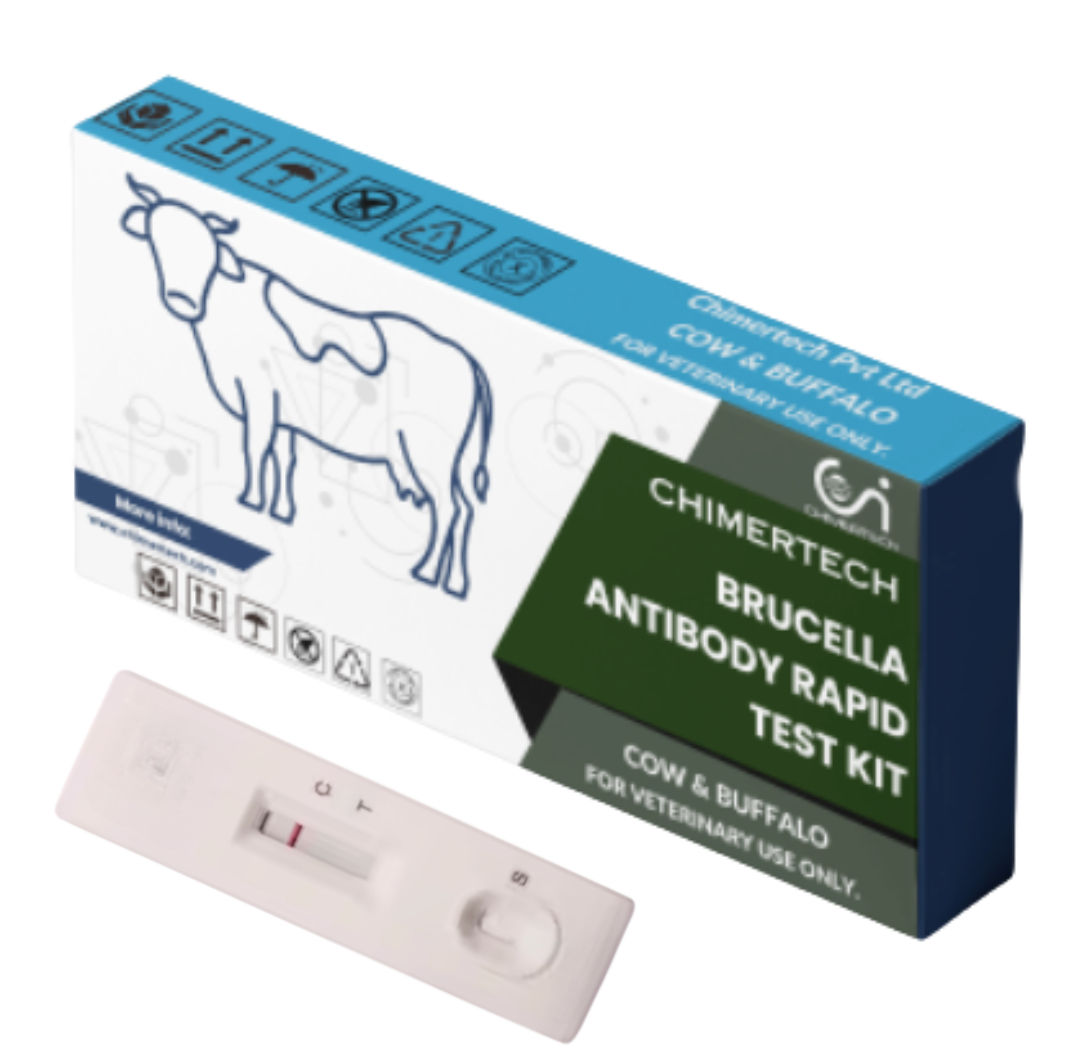 Brucella Antibody Rapid Test Kit
