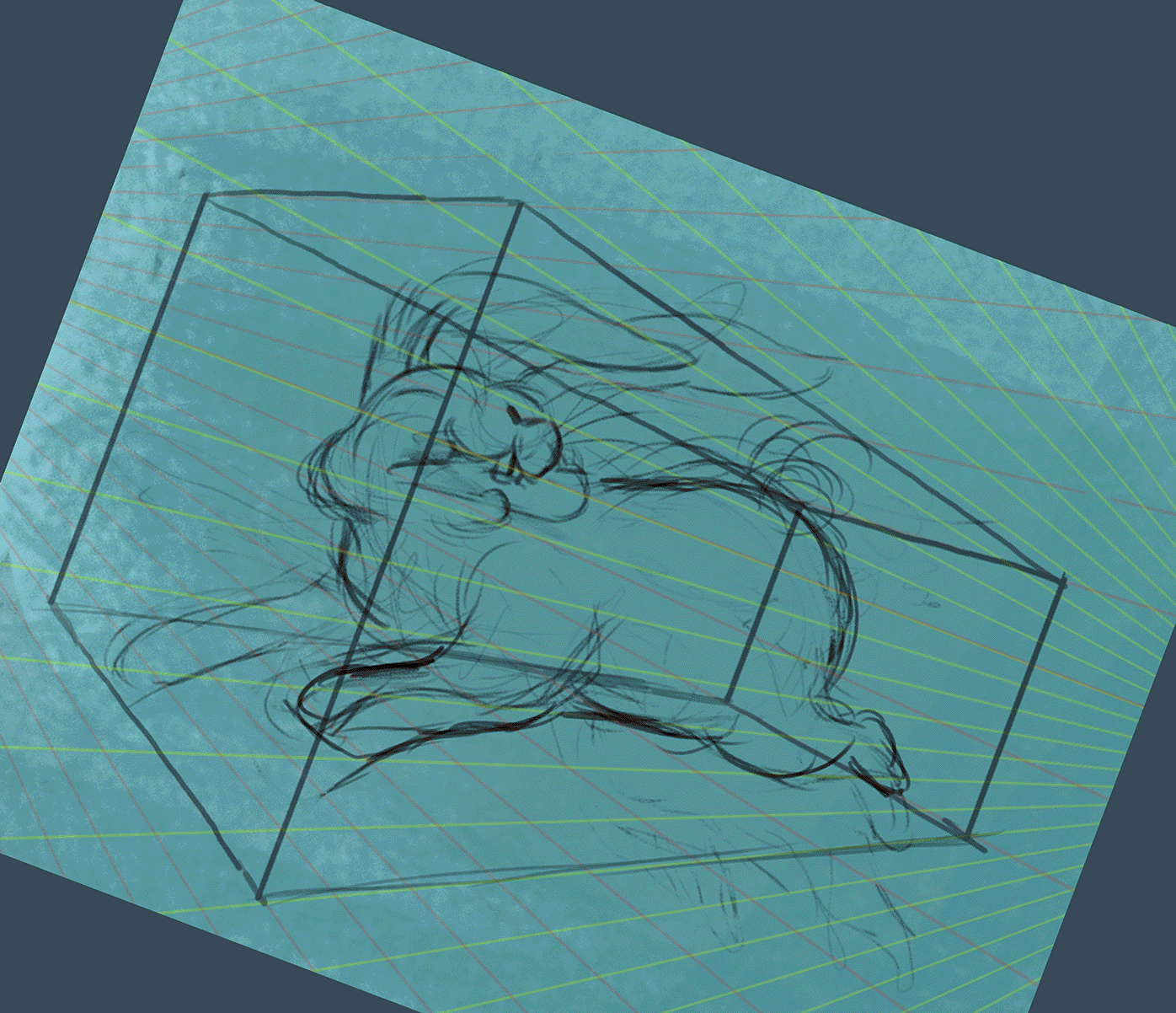 Rabbit run steps.gif