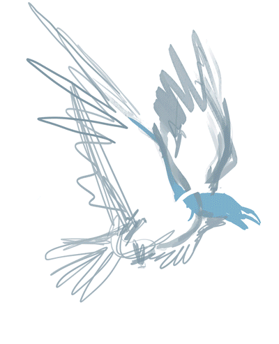 corbeau---étapes.gif