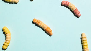 Los insectos ya son un superalimento