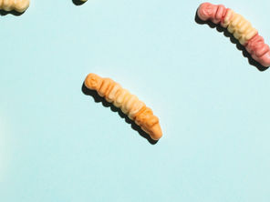 Los insectos ya son un superalimento