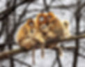 Image 13-11-2025 at 8.42 am.jpg