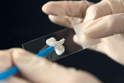 c14fac53e2fc83bfdbe5c17e4aec75bb