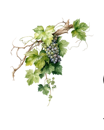 BRISASABRILATRAS (1).png