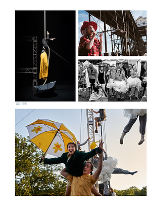 Creative Practitioner (2).png