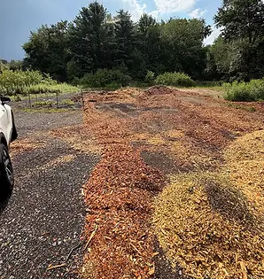 wood chips at lovley.webp