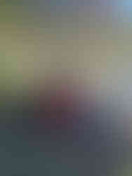 Clearing the Pollinator Pathway