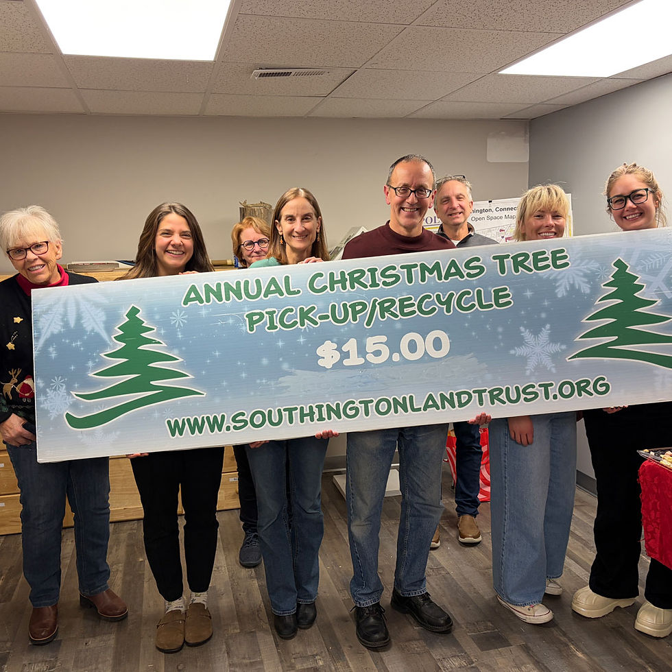 Christmas Tree Recycle Fundraiser