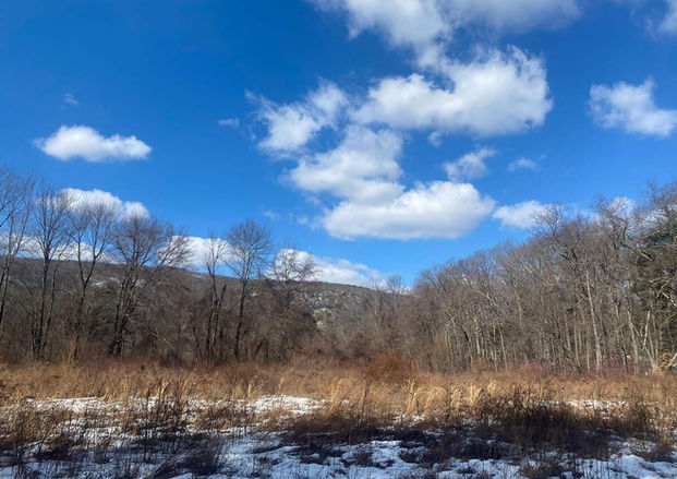 SLCT Lovley Preserve