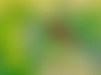 Nature’s Good Neighbor Policy