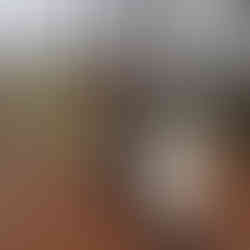 Land Trust members surveying the property