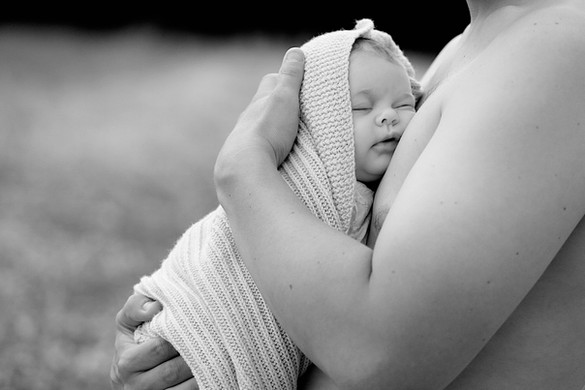 untitled image
