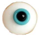 oeil_edited.png