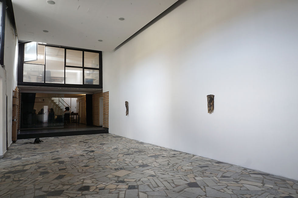 Installation view