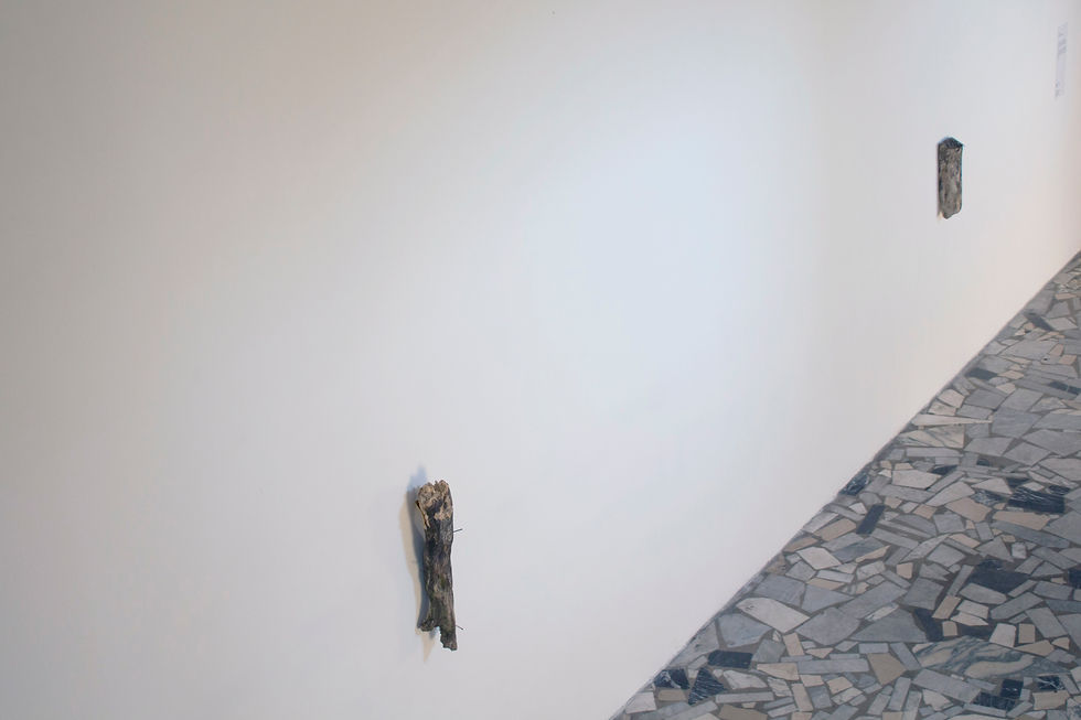 Installation view