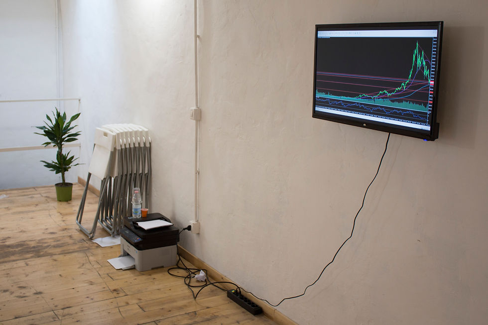 Installation view