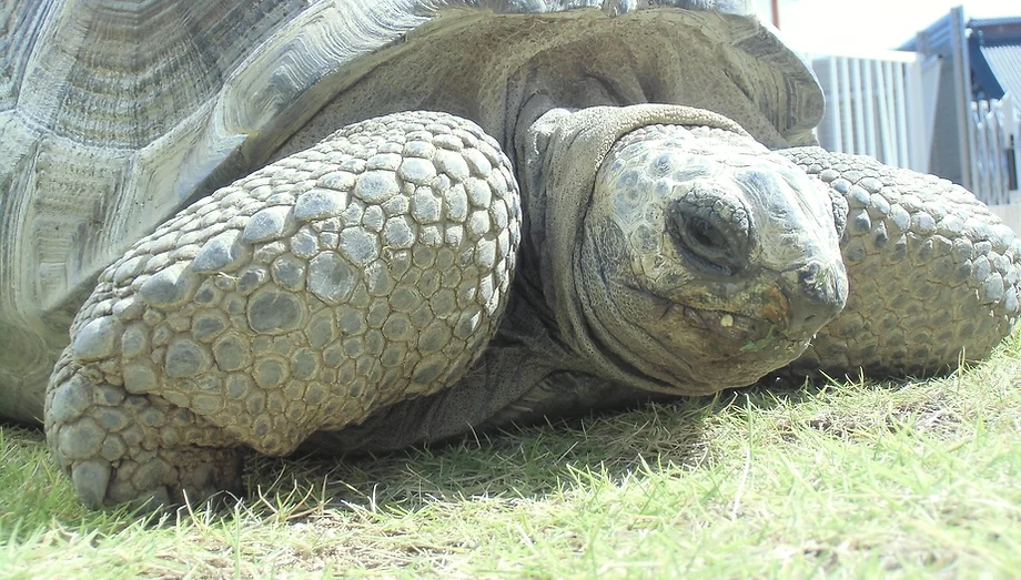 ホーム Usagitokame