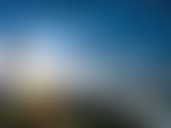 H2 Econs [Market Structure] Changi Airport Ground Handlers - A Case Study on Oligopolies