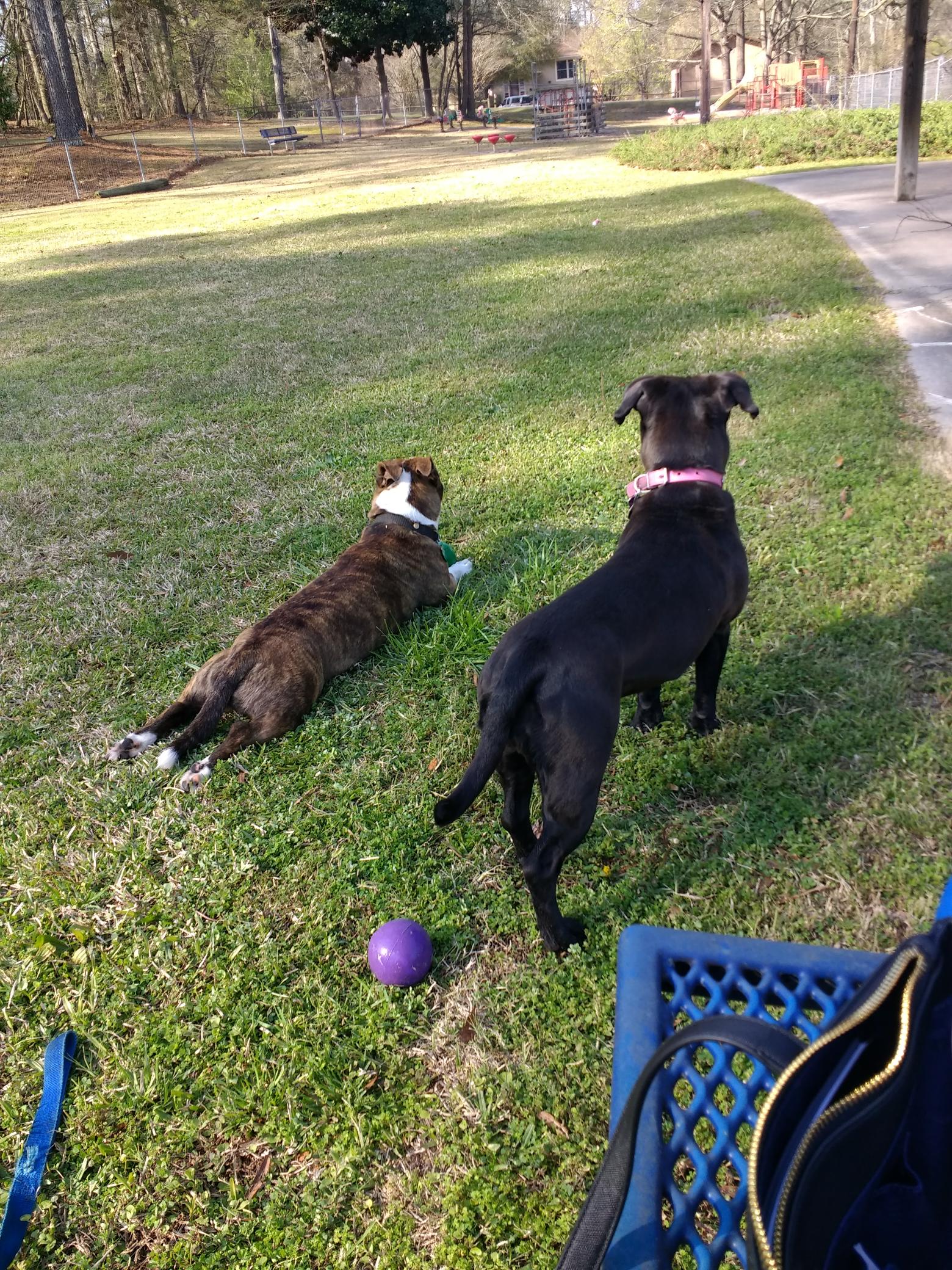 Elroy and Tuesday