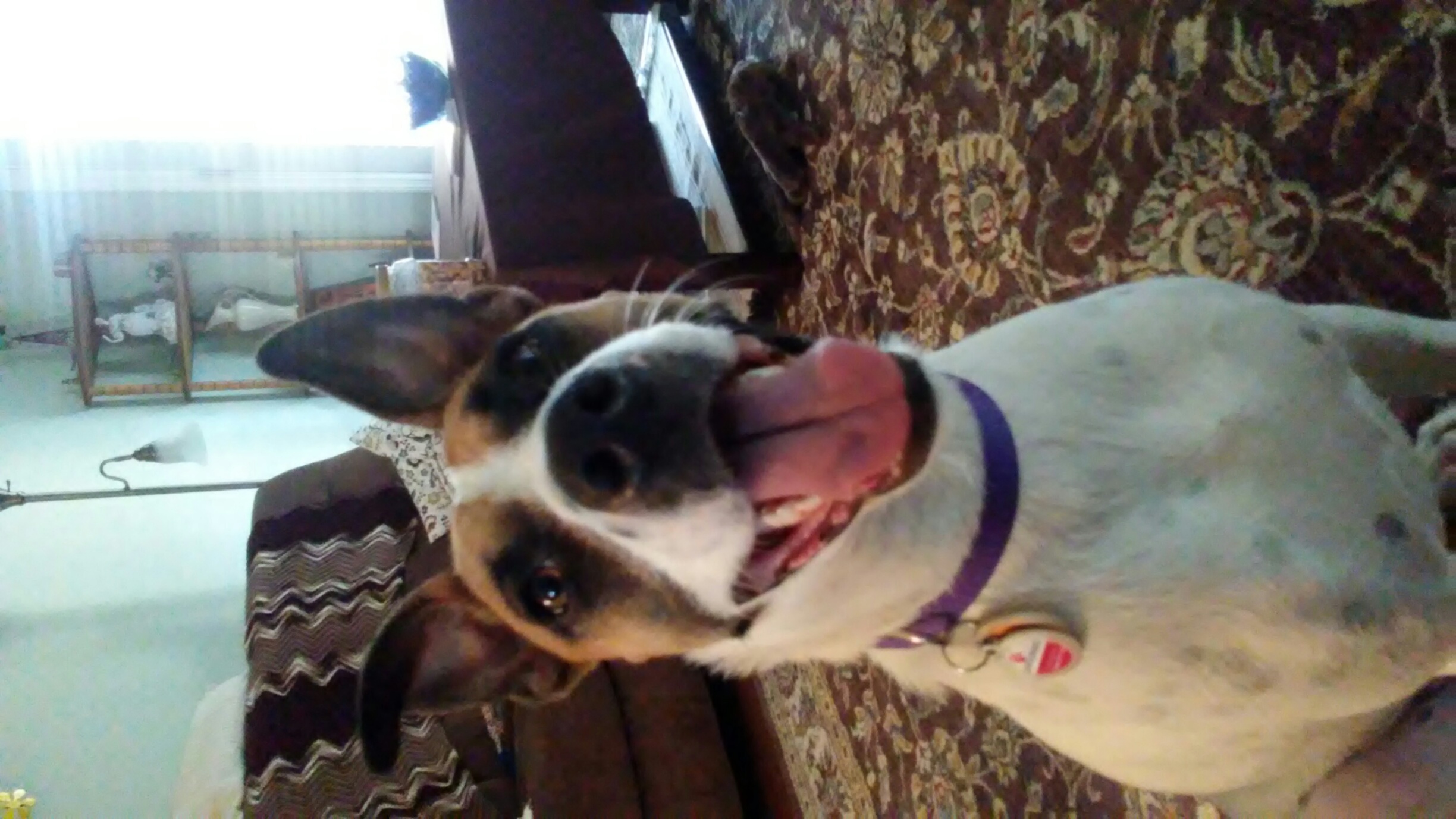 Missy