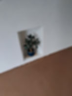 ree