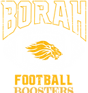 footbal logo white and gold_edited_edite