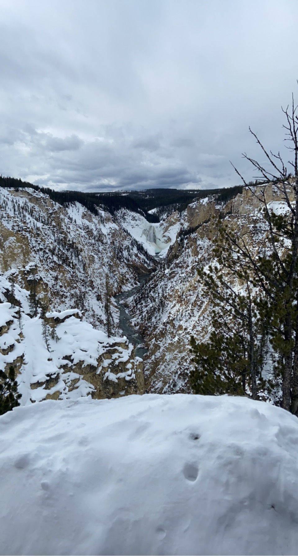 Jackson, WY