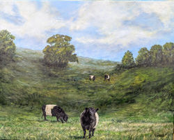 DE English Galloways