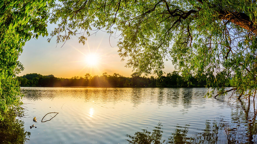 AdobeStock_208271652.jpeg
