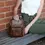 Thumbnail: Ladies City Backpack
