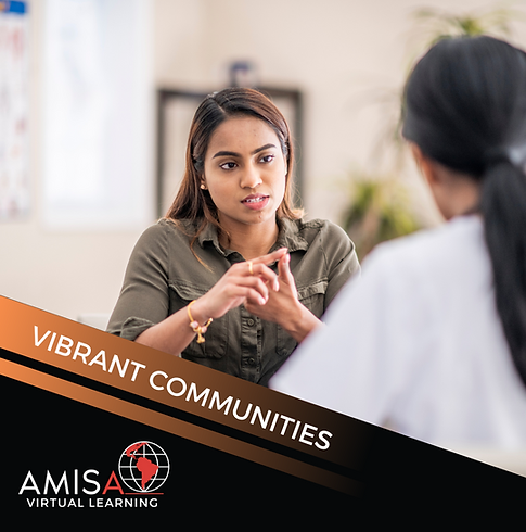 AMISA Counselor Case Consultation Session