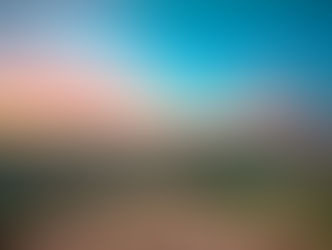 BLAZING A TRAIL IN IDAHO