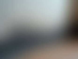 Essential Mould Treatment and Repair for East Sussex Renters Understanding New Rights Laws