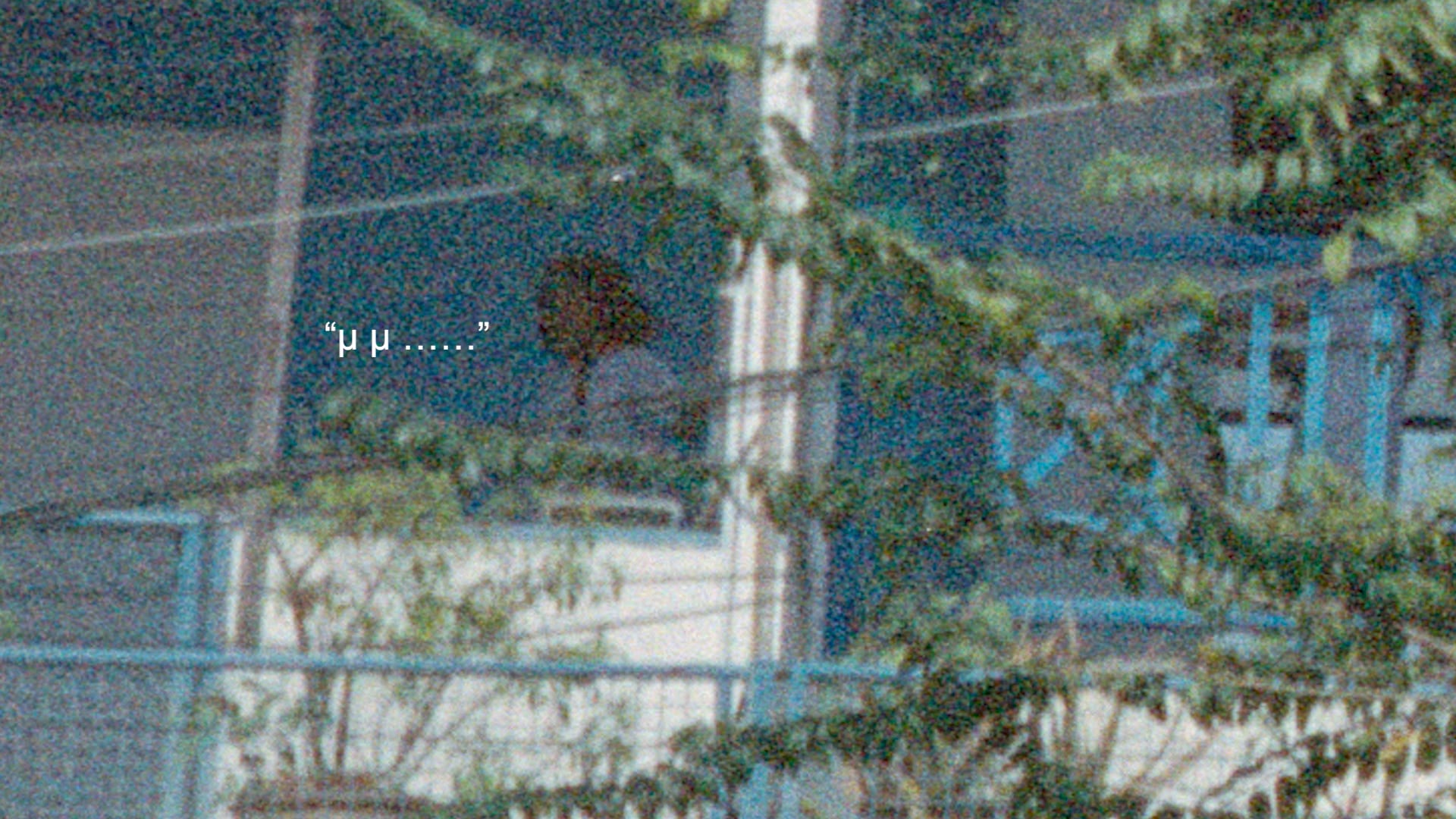 How to be a ghost in Bangkok?