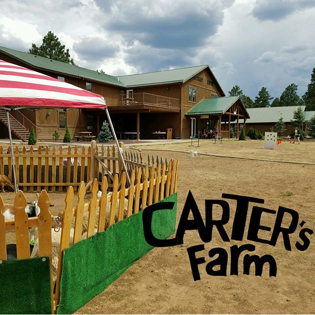 Carters Farm Mobile Petting Zoo and Ponies Arizona Pony Rides